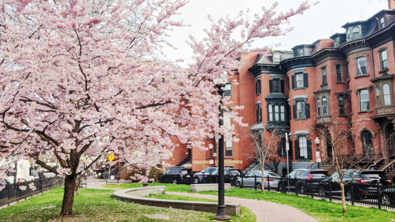 ボストンの住宅地の街並み（チャイルドケア事情の背景イメージ）