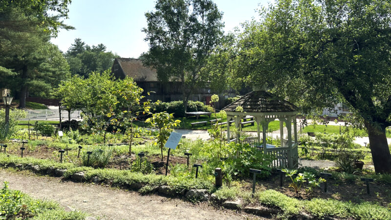 オールド・スターブリッジ・ビレッジのハーブ・ガーデン