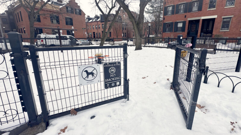 Ringgold Parkの未就学児エリア入口。フェンスで囲われゲートは1箇所のみ