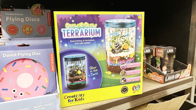 子ども向けテラリウムクラフトキット