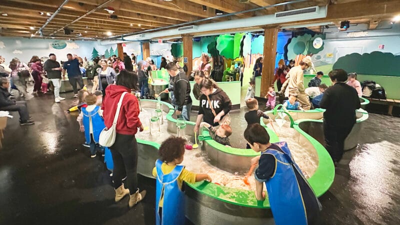 Peep’s Worldの水とボールを使った体験型展示