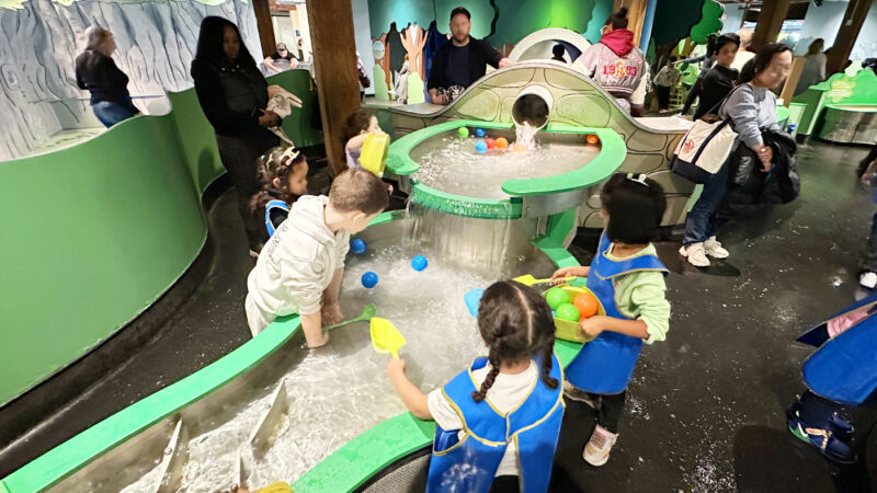 Peep’s Worldで水遊びをする子どもたち