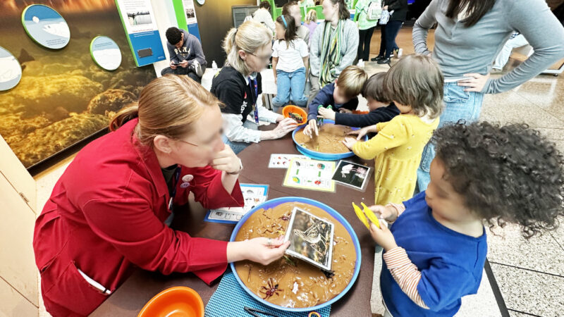 鳥の嘴に見立てた道具で餌やり体験をする子ども